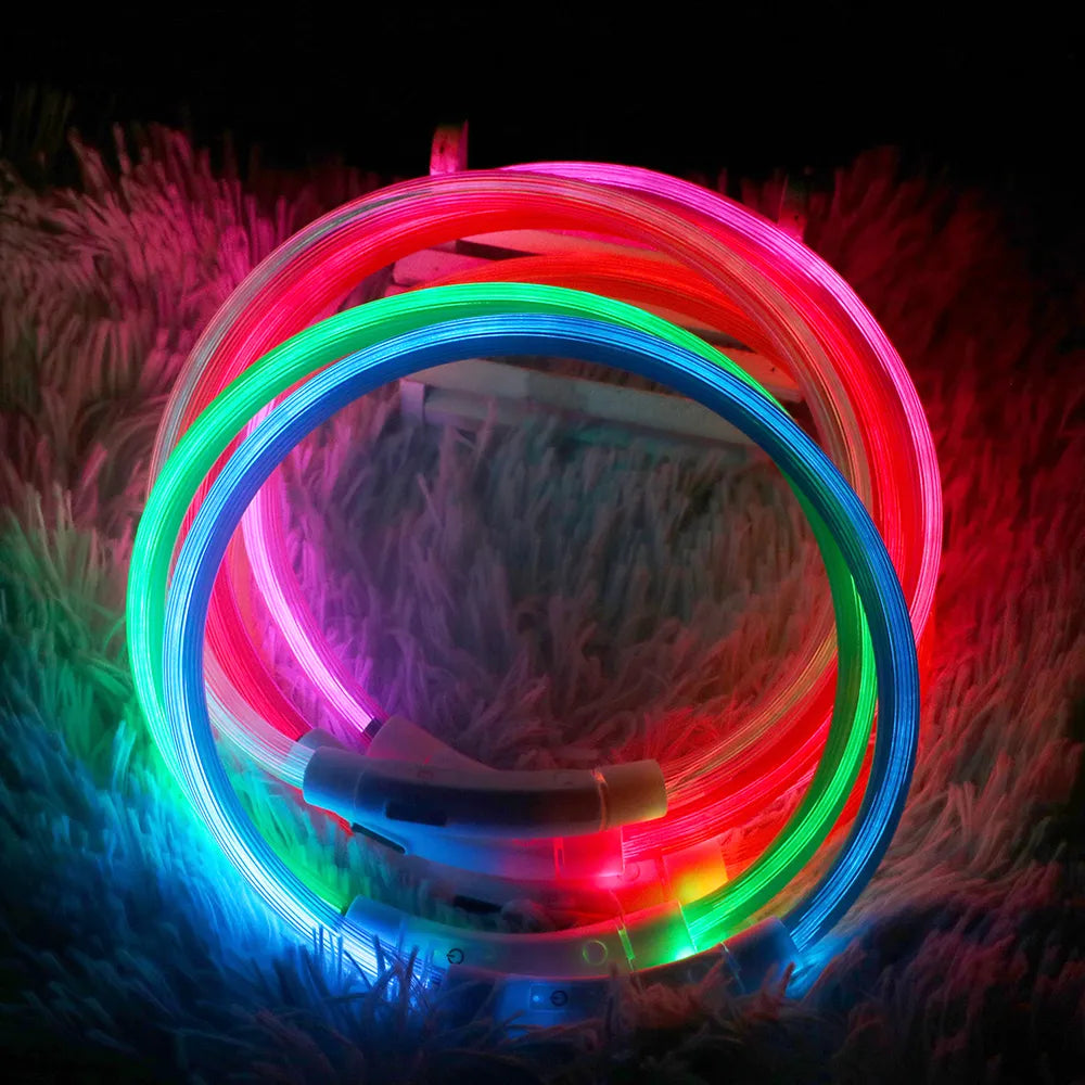 NICEYARD Rechargeable LED Night Dog Collars - Pet House Palace