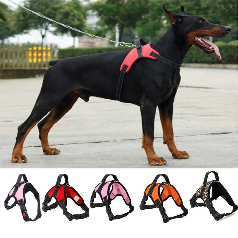 Big Heavy Duty Dog Pet Harness Collar Adjustable - Pet House Palace