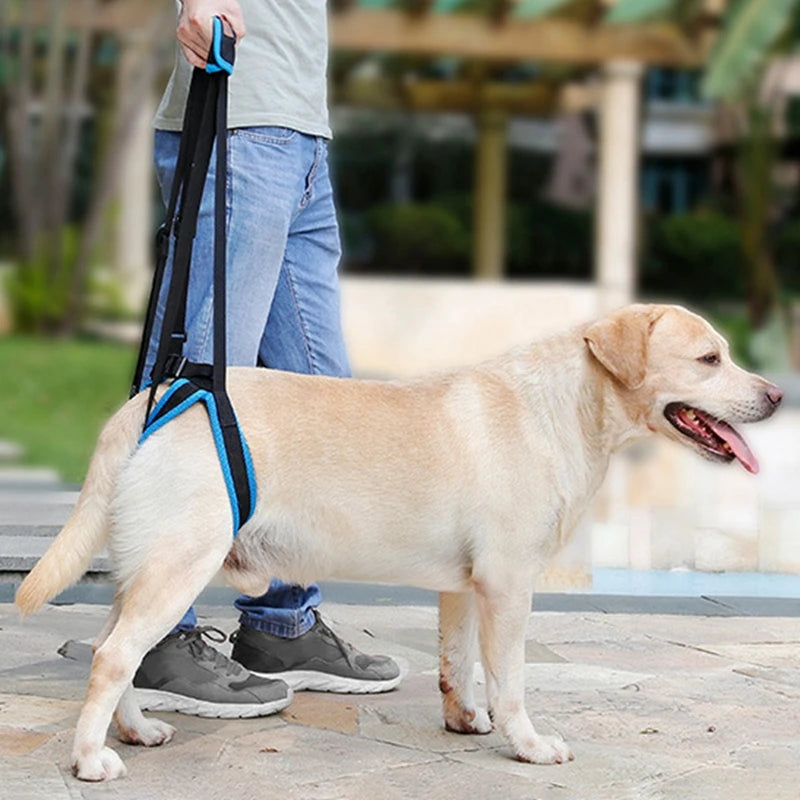 Adjustable Dog Lift Harness For Back Legs - Pet House Palace