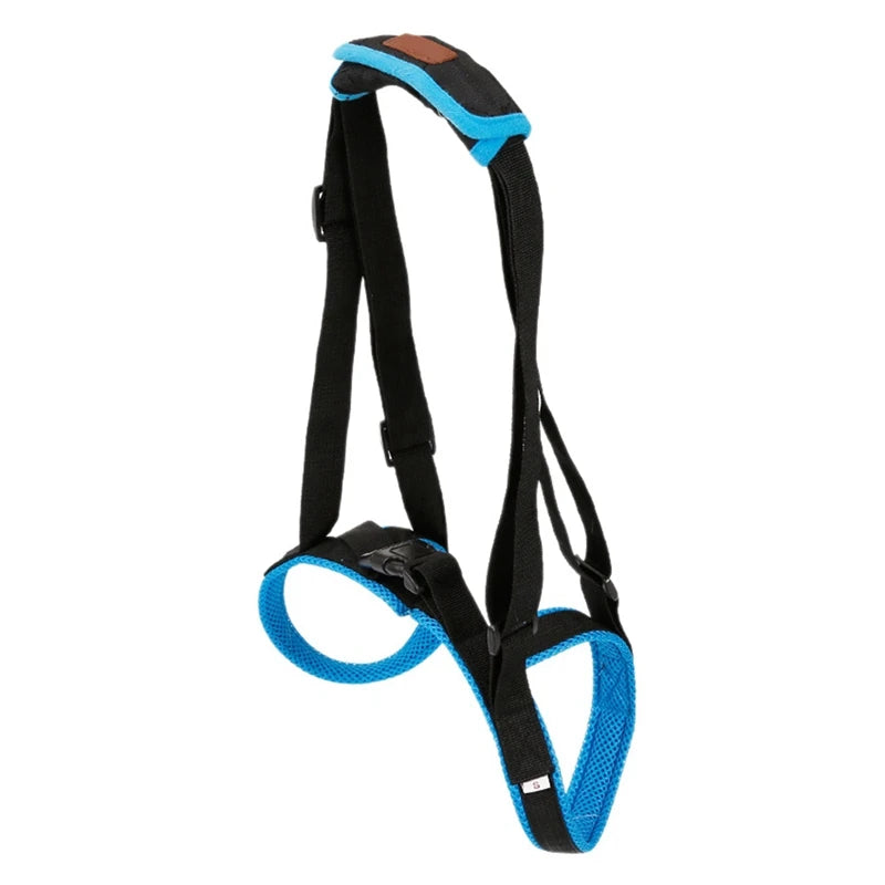 Adjustable Dog Lift Harness For Back Legs - Pet House Palace