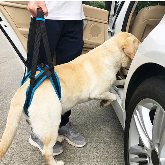 Adjustable Dog Lift Harness For Back Legs - Pet House Palace