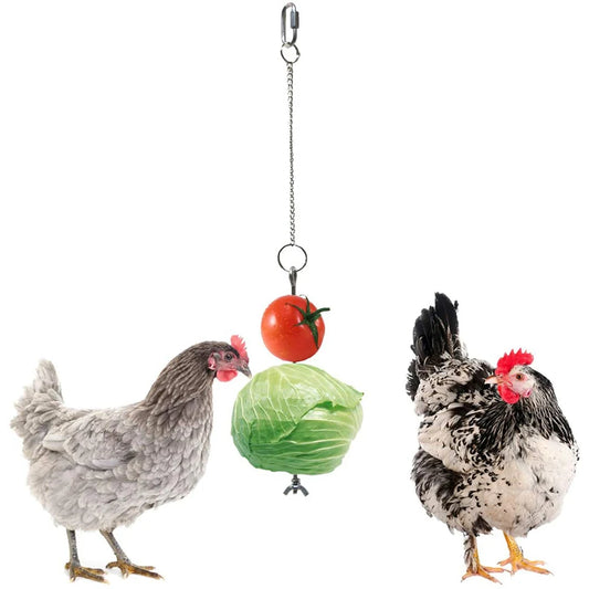 Stainless Steel Feeder Fruit Corn Fork Toys Chicken Vegetables Holder Hanging Feeding Birdcage Accessories - Pet House Palace