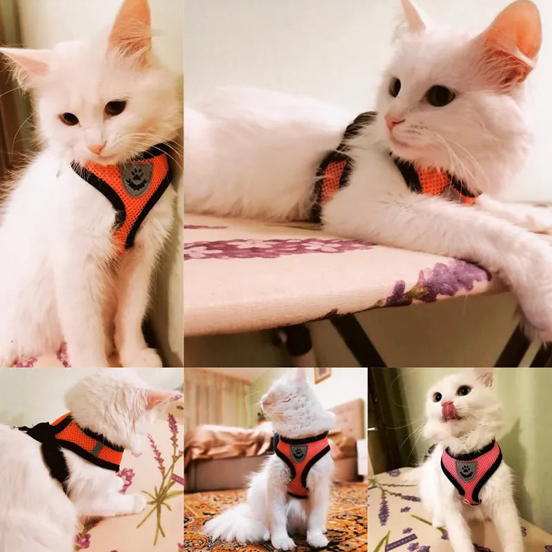 Cat Harness Vest Walking Lead Leash For Puppy Dogs - Pet House Palace