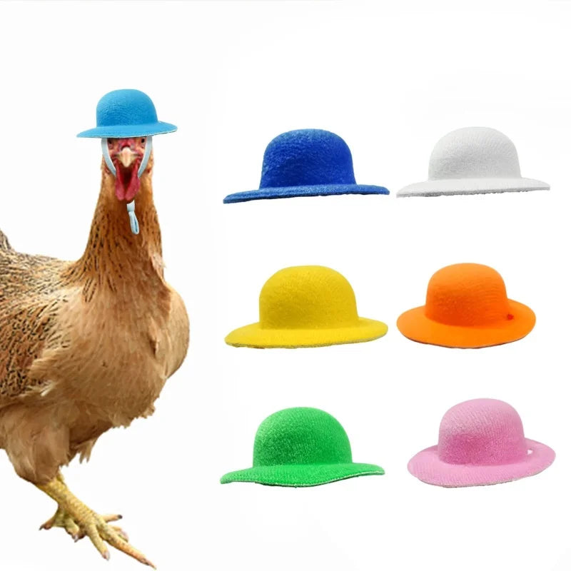 Chicken Hat For Hens Tiny Pets For Rooster Duck Parrot Hamster - Pet House Palace