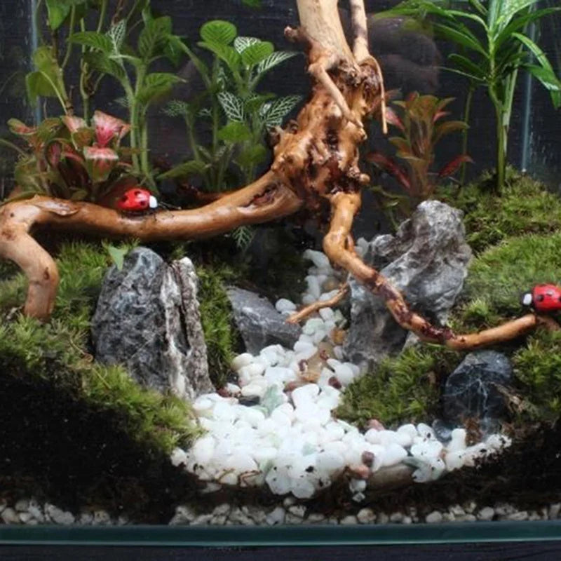 Natural Tree Trunk Driftwood Aquarium Fish Tank - Pet House Palace