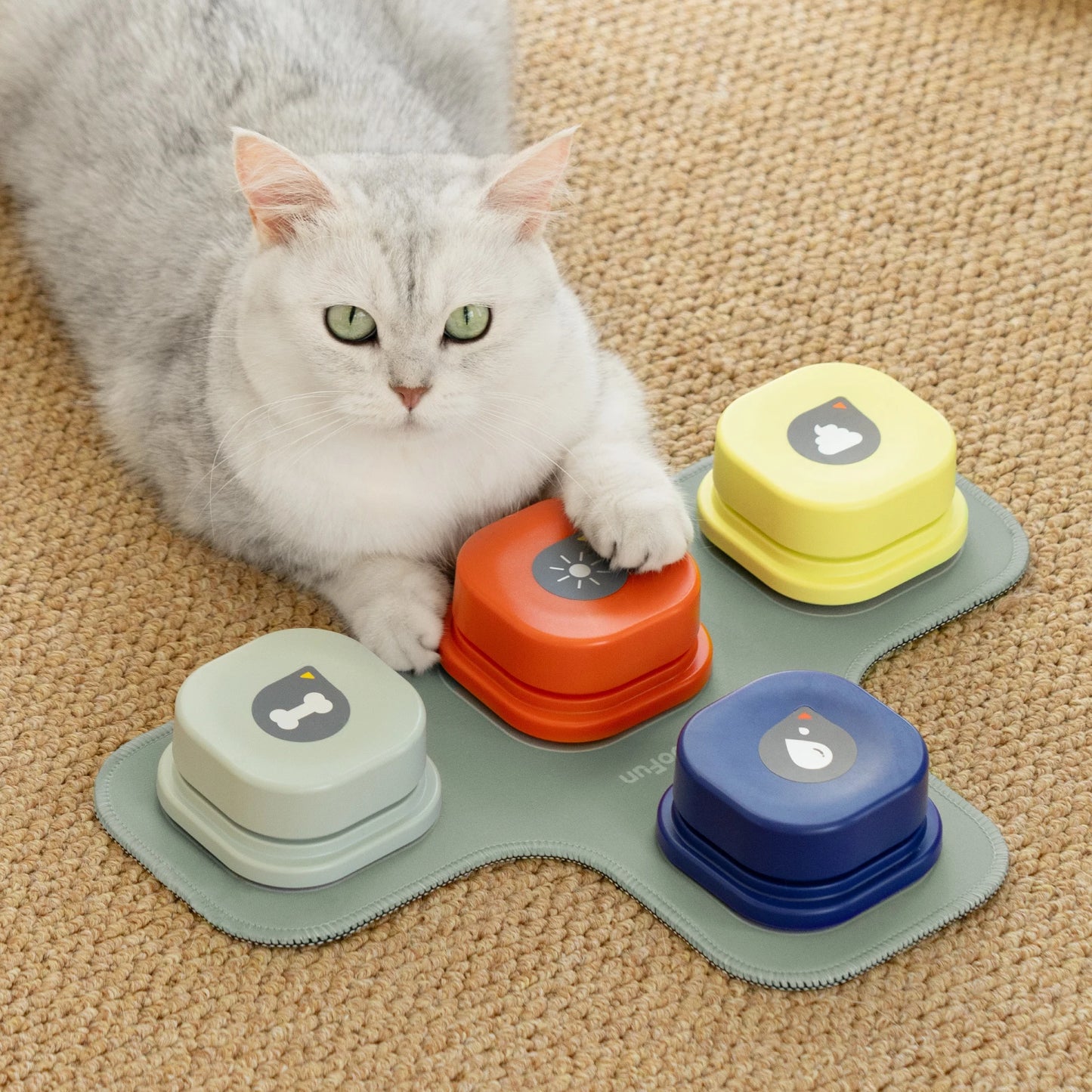 Record Talking Pet Communication Vocal Training Interactive Toy Buttons - Pet House Palace