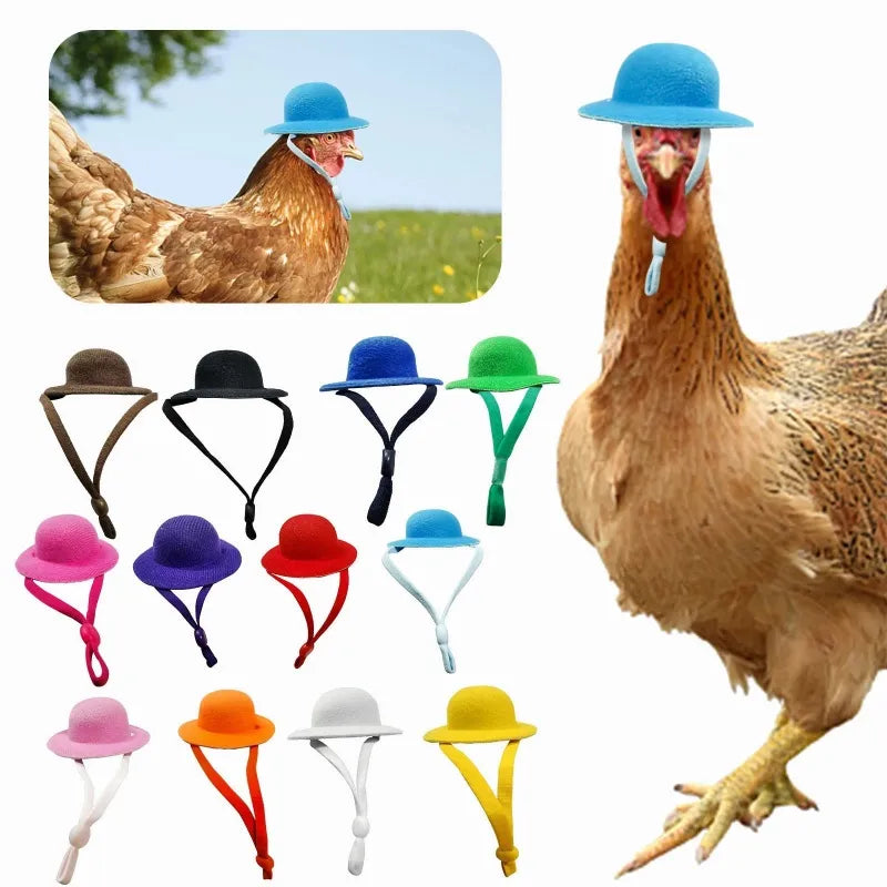 Chicken Hat For Hens Tiny Pets For Rooster Duck Parrot Hamster - Pet House Palace