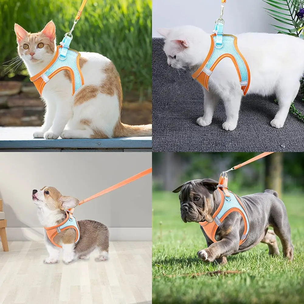 Pet Dog harness and leash set Reflective - Pet House Palace