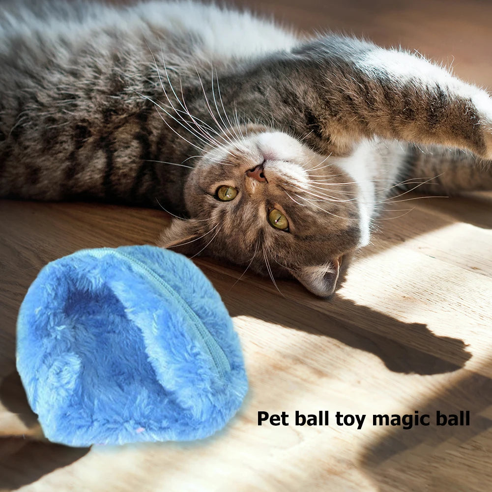 Magic Roller Ball Activation Automatic Ball Dog Cat Interactive - Pet House Palace