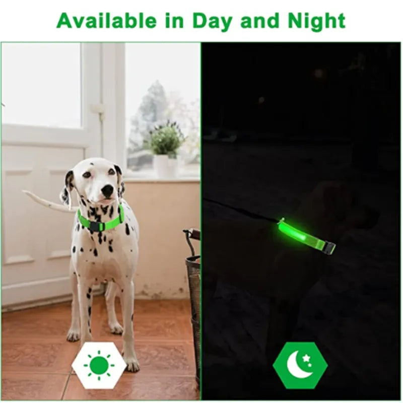 LED Glowing Dog Collar Adjustable - Pet House Palace