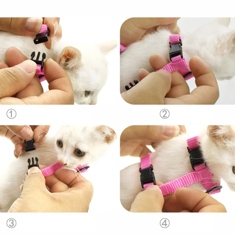 Angel Wings Cute Cat Harnesses  For Cats Puppy Rabbit Kitten - Pet House Palace