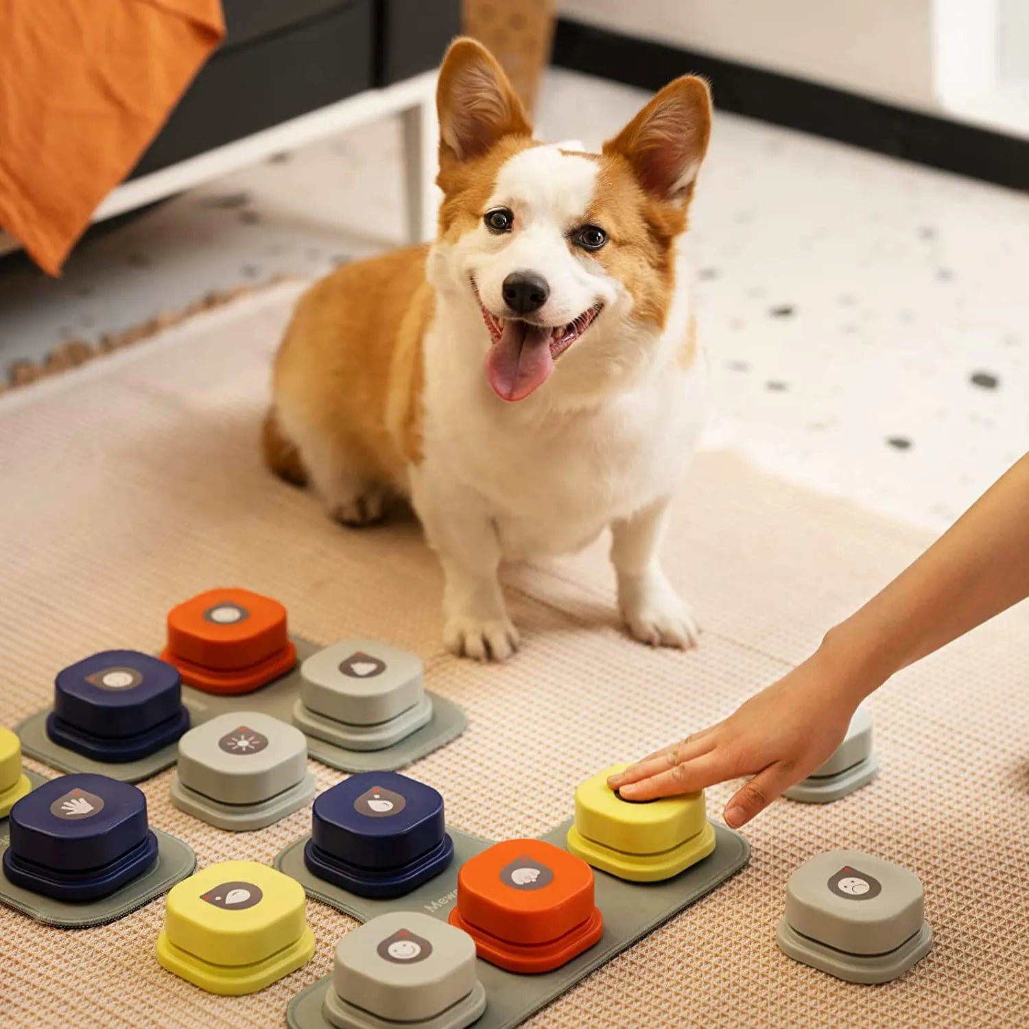 Record Talking Pet Communication Vocal Training Interactive Toy Buttons - Pet House Palace