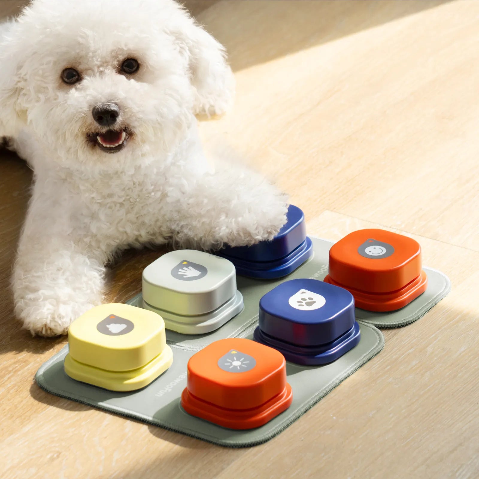 Record Talking Pet Communication Vocal Training Interactive Toy Buttons - Pet House Palace