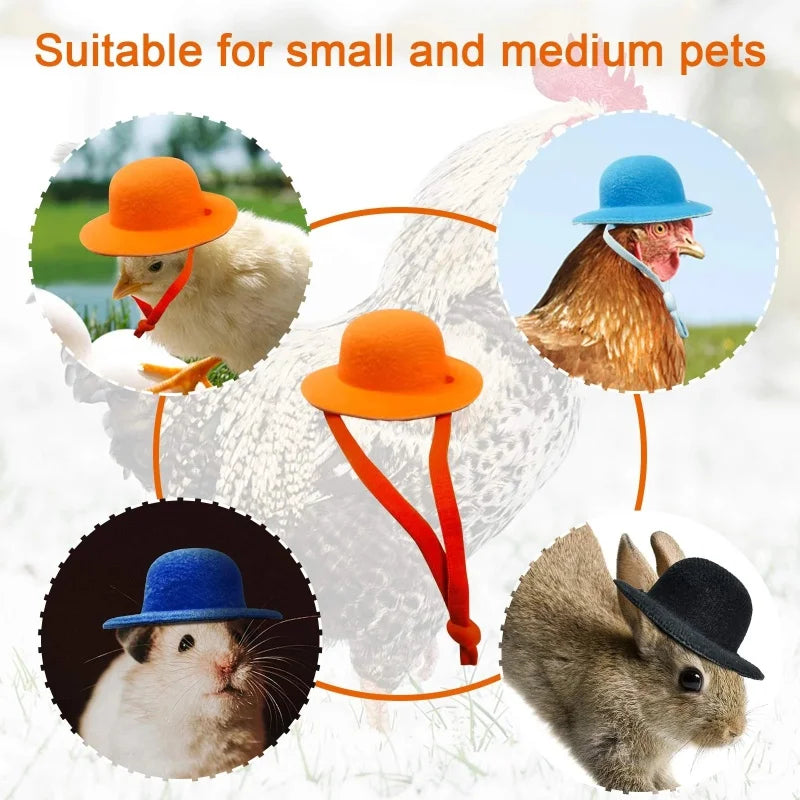 Chicken Hat For Hens Tiny Pets For Rooster Duck Parrot Hamster - Pet House Palace