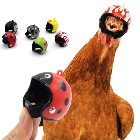 Funny Chicken Helmet Bird Protect Cap Sun Rain - Pet House Palace