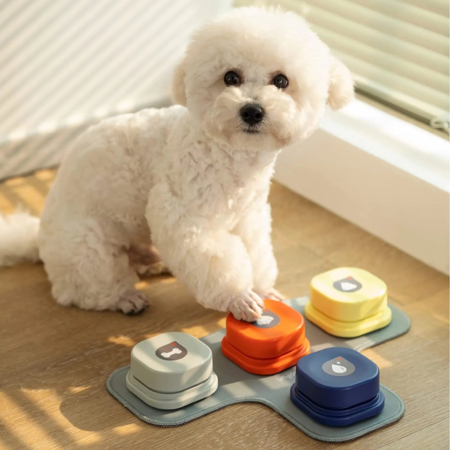 Record Talking Pet Communication Vocal Training Interactive Toy Buttons - Pet House Palace